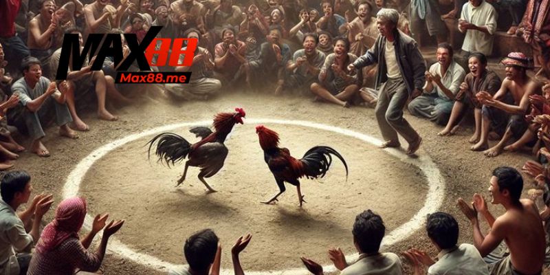 Các loại kèo cược trong bộ môn đá gà hiện nay