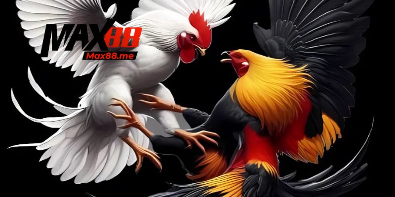 Công nghệ livestream yếu tố làm nên sức hút bộ môn này