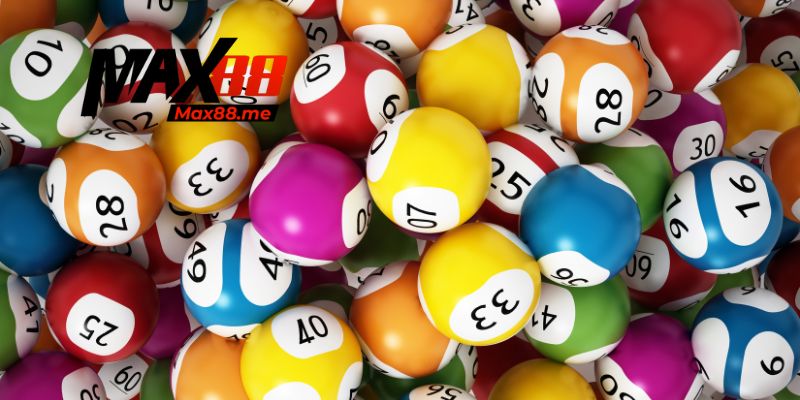 Những rủi ro cần biết trong quá trình nuôi lô dài hạn