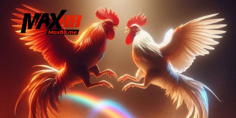 Tầm quan trọng của việc đá gà cựa dao đúng cách